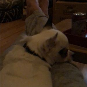 Meet your Posher, Jason